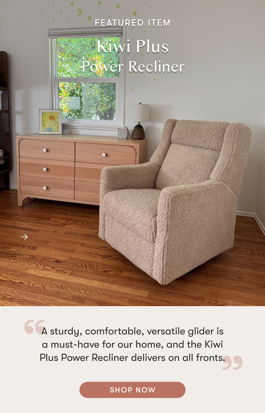 Kiwi Plus Power Recliner