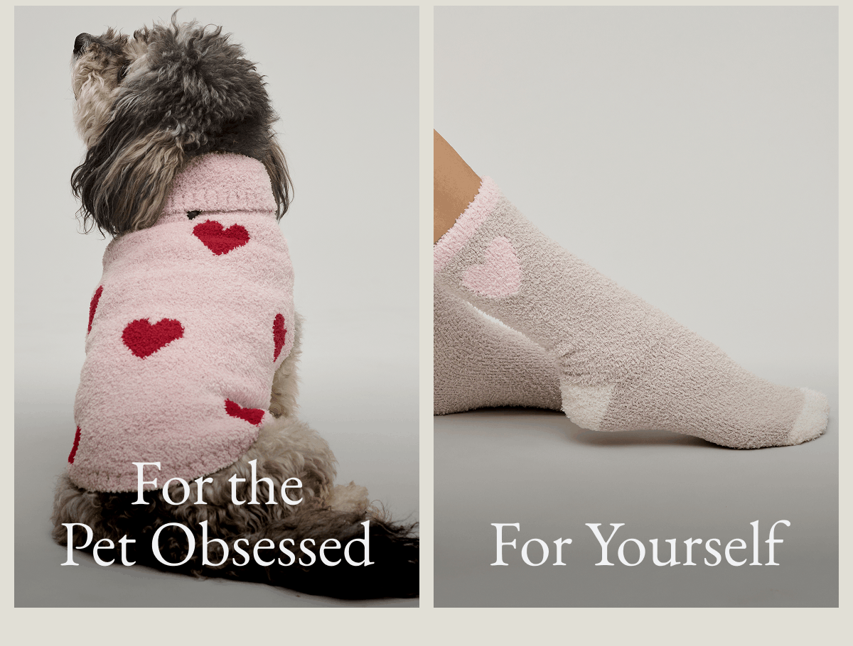 For pet lovers, for yourself
