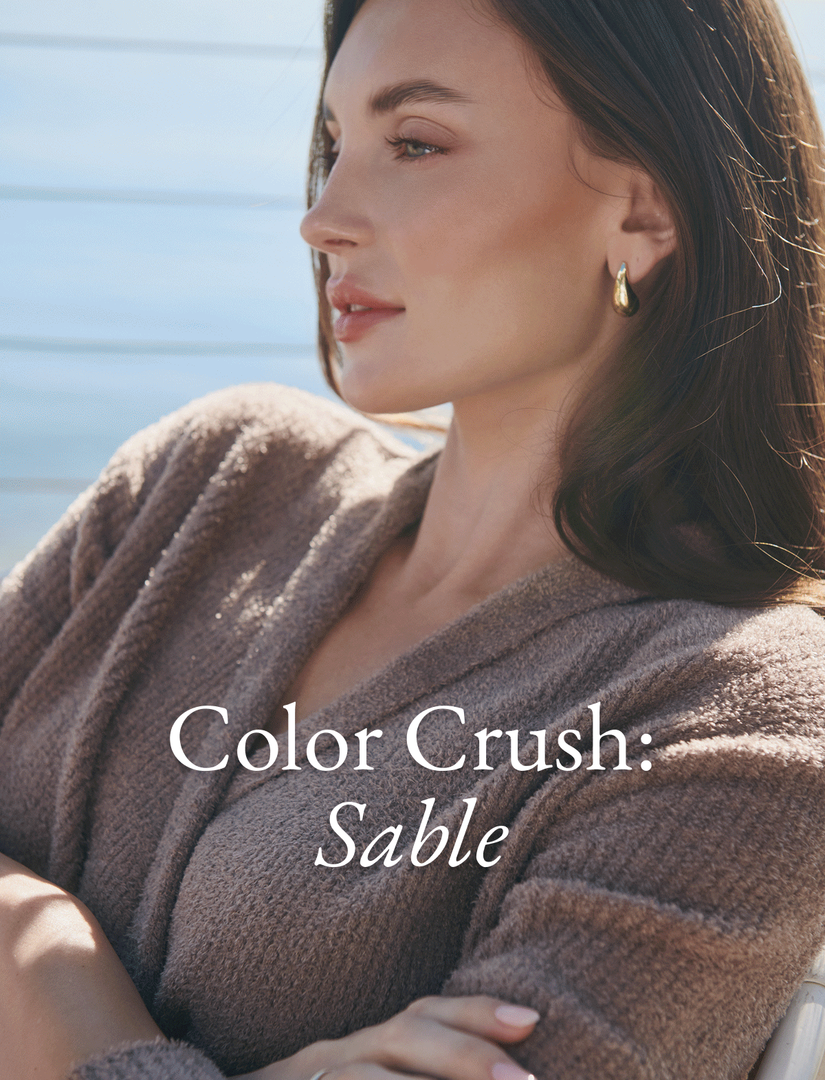 Color Crush: Sable