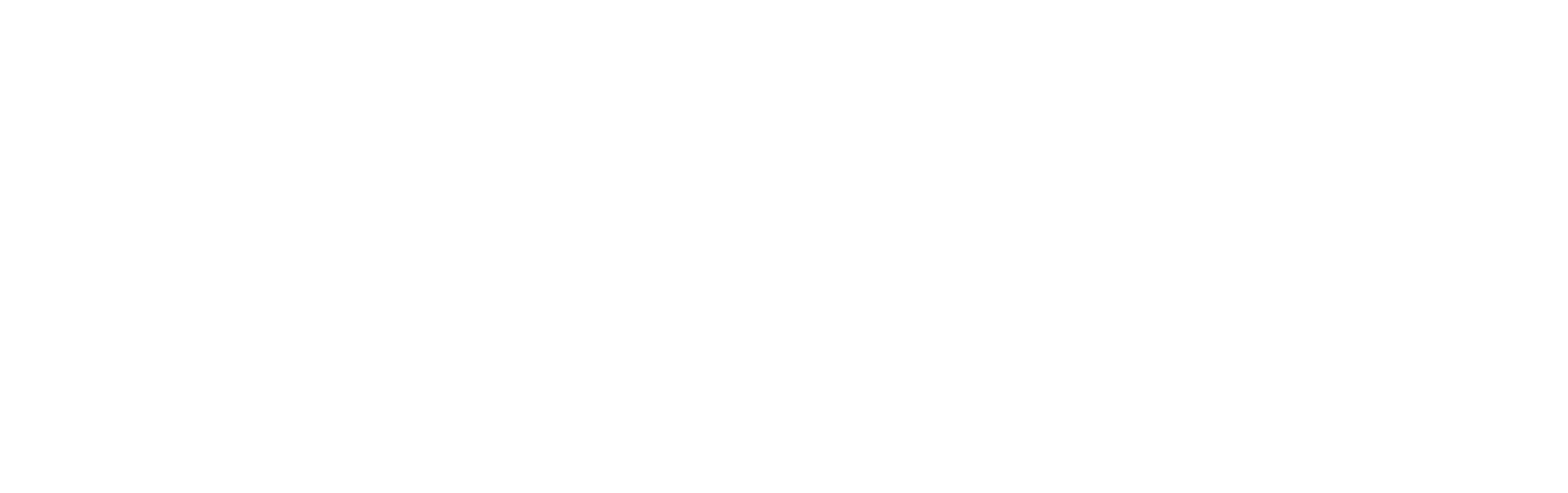 Battle Sports Logo