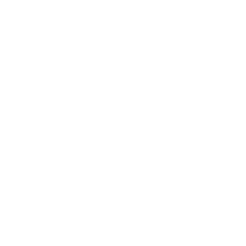 Lowest Price Guarantee Icon