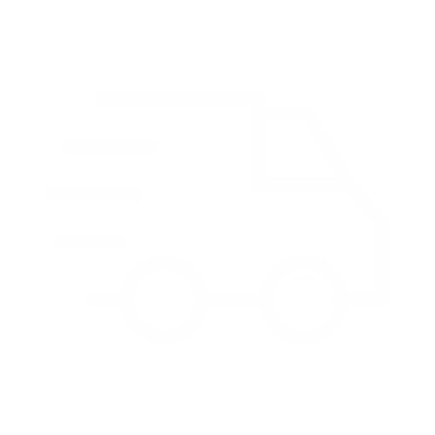 Fast Shipping Icon