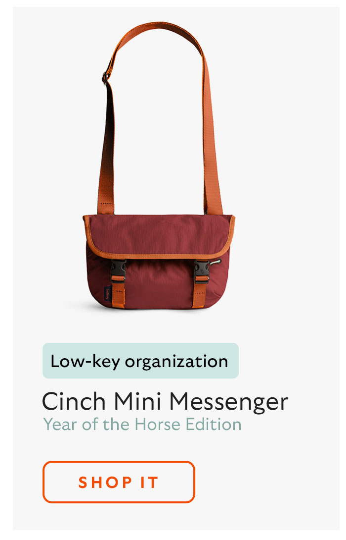 Cinch Mini Messenger