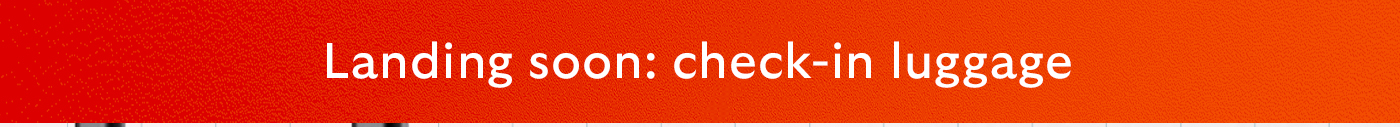 Landing soon: check-in luggage