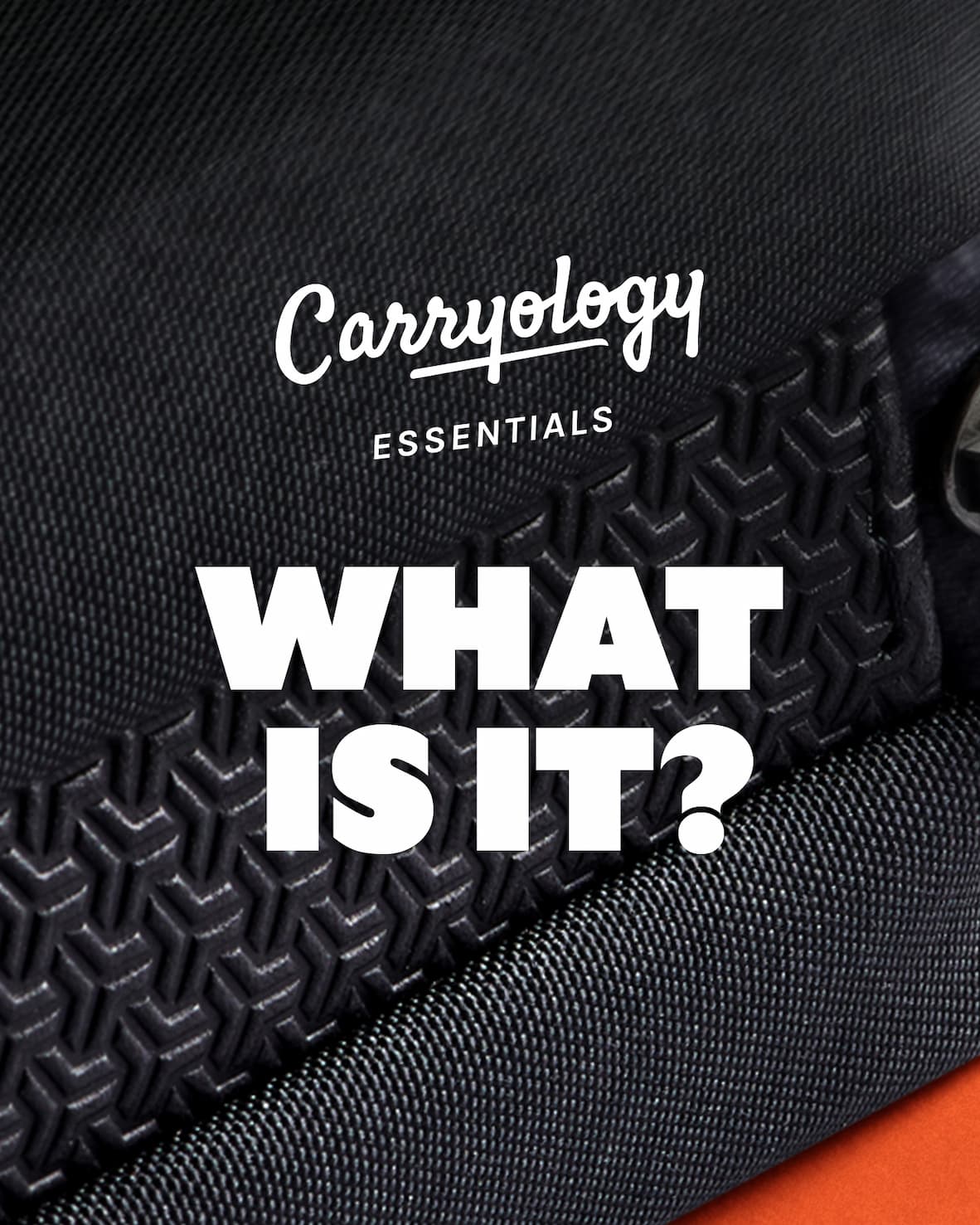 [logo] Carryology Essentials What is it?