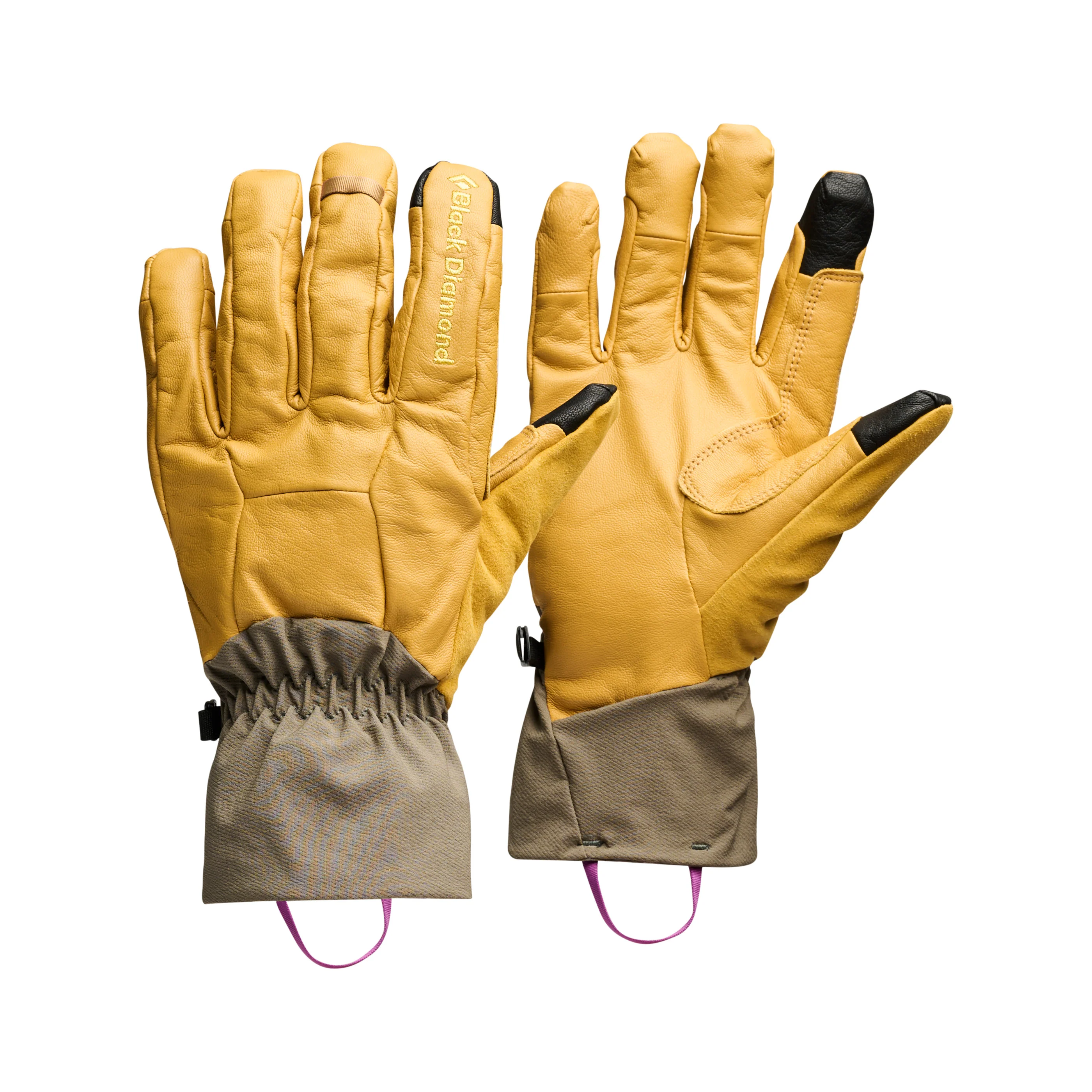 Image of Tour Pro Gloves