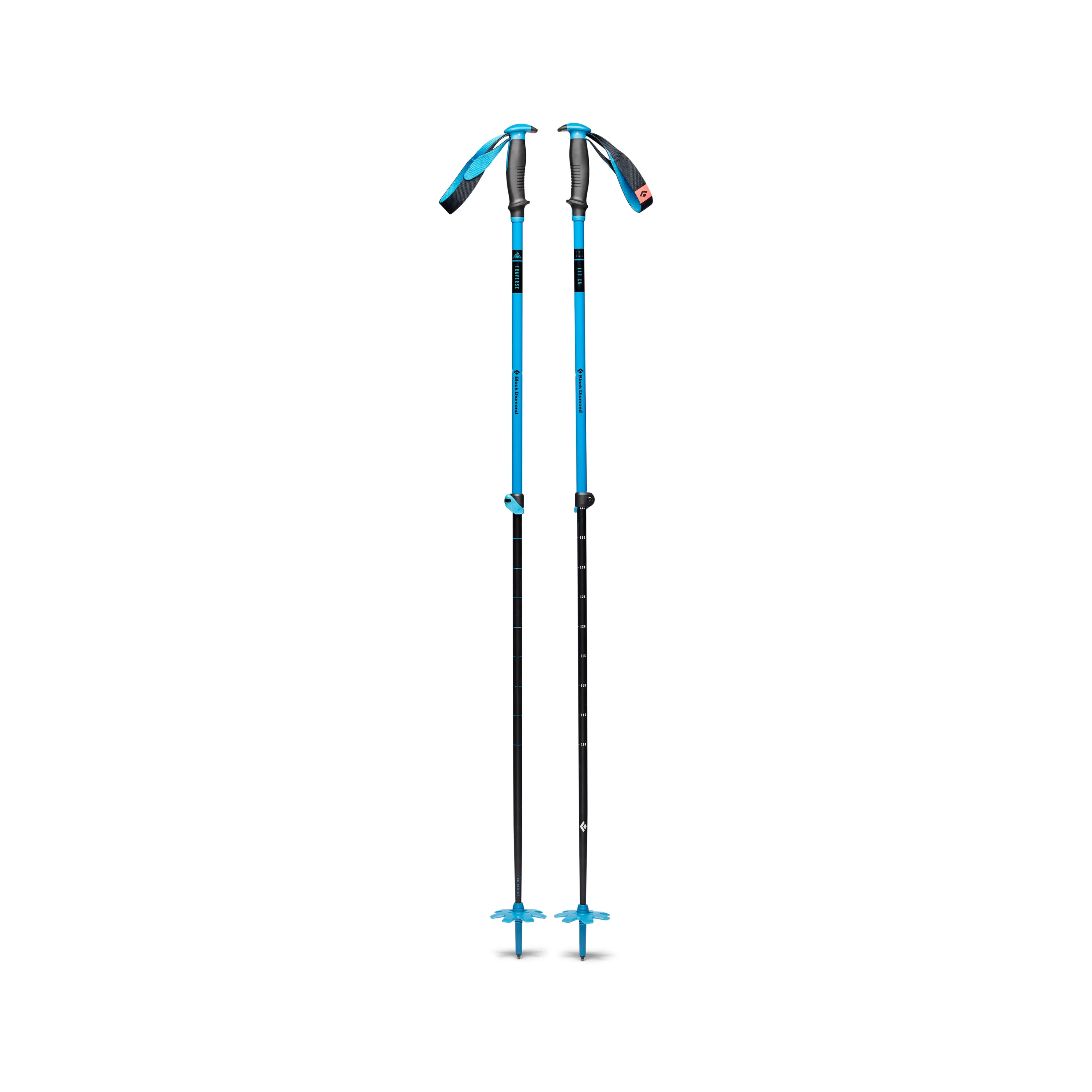 Image of Traverse Ski Poles