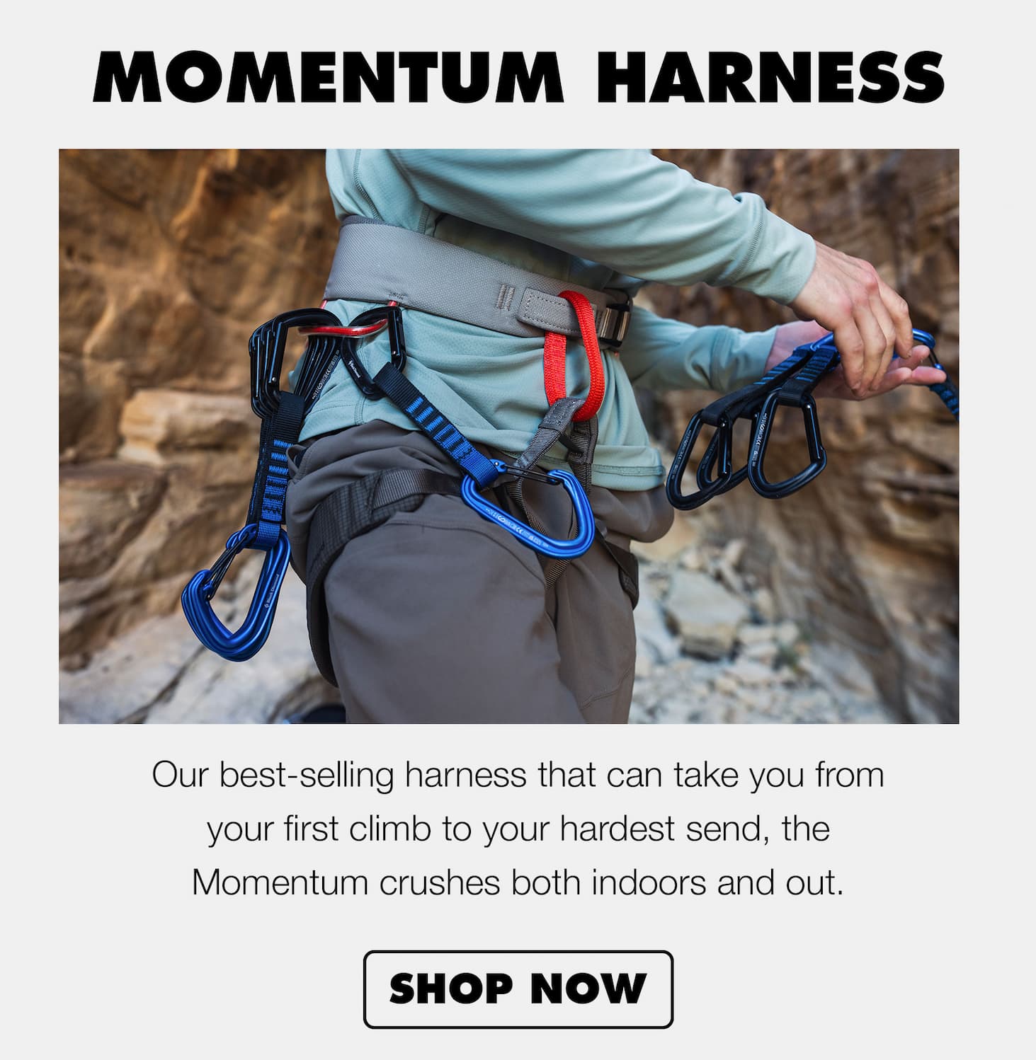 Momentum Harness: Our popular choice for the all-arounder, this harness does great indoors and out. | SHOP NOW