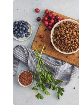 An overhead shot of Blue Buffalo dog food in a bowl. The bowl is resting on top of a cutting board and a kitchen hand towel. Next to the food bowl are various fruits as well as spices and herbs.