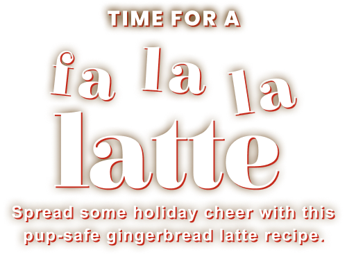 Time for a fa la la latte Spread some holiday cheer with this pup-safe gingerbread latte recipe.
