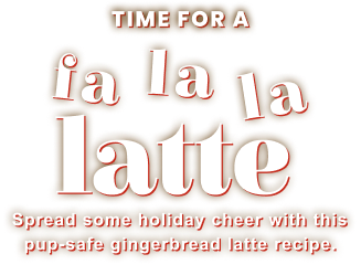 Time for a fa la la latte Spread some holiday cheer with this pup-safe gingerbread latte recipe.