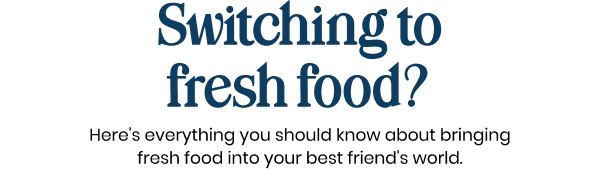 Switching to fresh food? Here's everything you should know about bringing fresh food into your best friend's world.