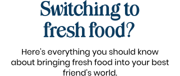 Switching to fresh food? Here's everything you should know about bringing fresh food into your best friend's world.