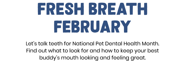 Fresh breath February. Let’s talk teeth for National Pet Dental Health Month. Find out what to look for and how to keep your best buddy’s mouth looking and feeling great.