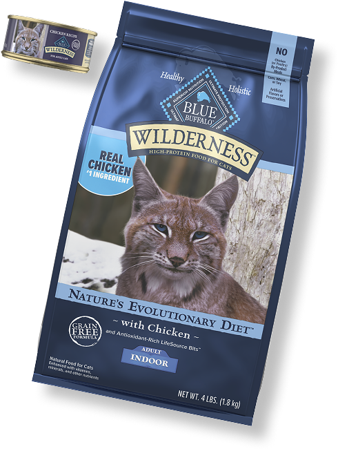 Blue-toned graphic with a few Wilderness pet food packages arranged along the bottom, featuring a cat.