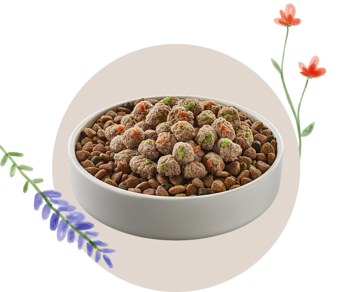 A bowl of BLUE dry dog food topped with Love Made Fresh meatballs is surrounded by bright spring flowers.