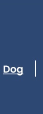 Call to action to view Blue Buffalo dog products