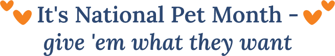 It's National Pet Month - give 'em what they want