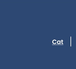 Call to action to view Blue Buffalo cat products