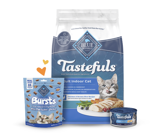 A portfolio of Blue Buffalo cat products on display.