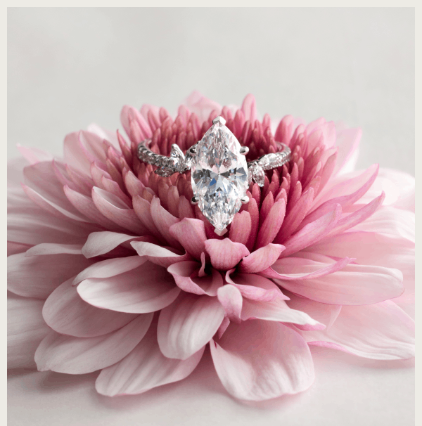 Our best-selling designs are favorites for a reason.