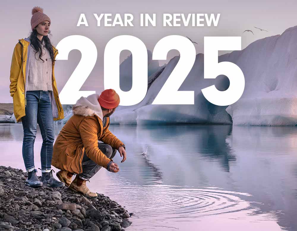 A Year In Review