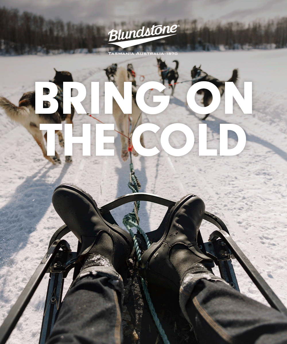 Bring On The Cold
