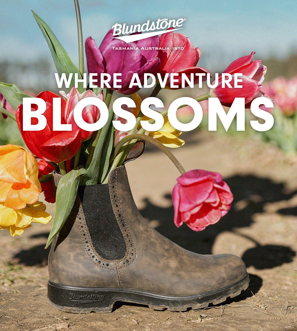 Where Adventure Blossoms