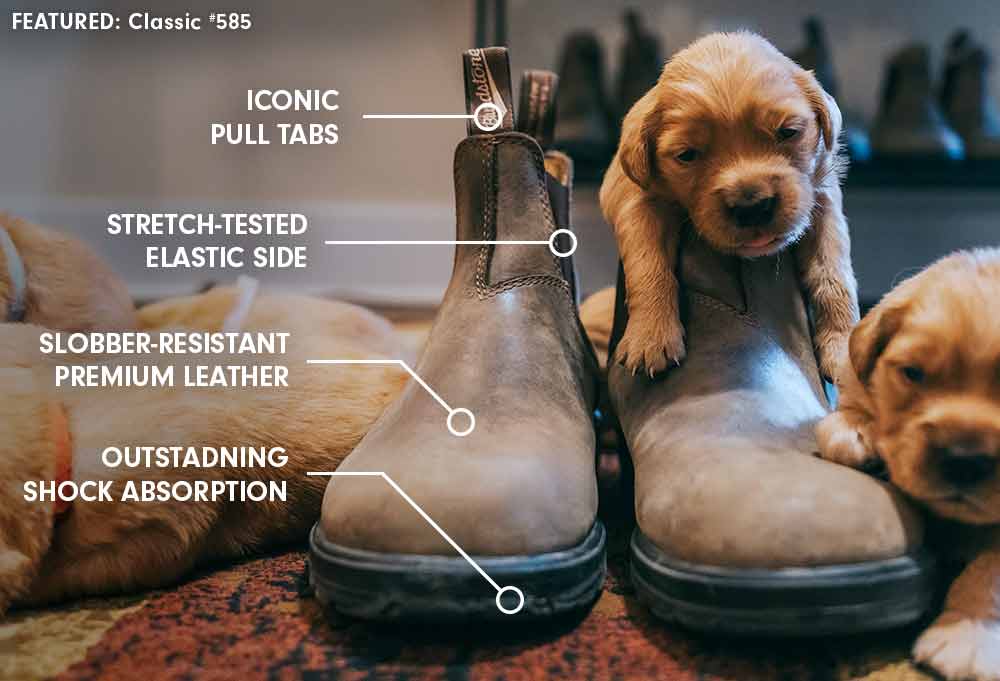Worn On Every Walk