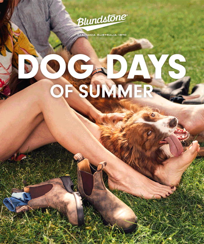 Dog Days of Summer
