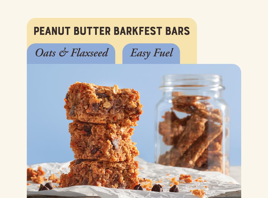 Peanut Butter Barkfest Bars
