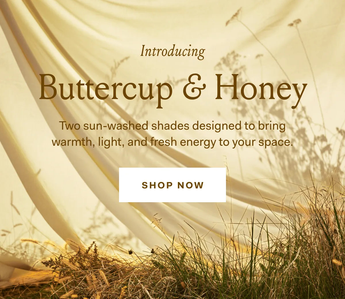 Meet Buttercup & Honey Introducing Buttercup and Honey: two sun-washed shades designed to bring warmth, light, and fresh energy to your space.