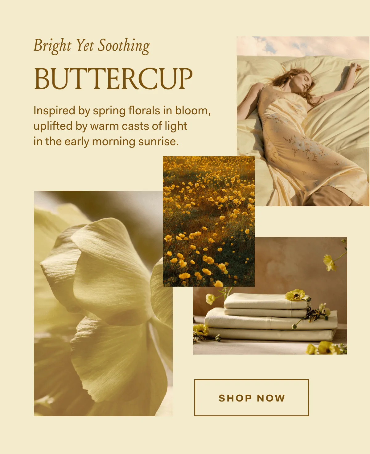 Bright Yet Soothing Inspired by spring florals in bloom, uplifted by warm casts of light in the early morning sunrise.