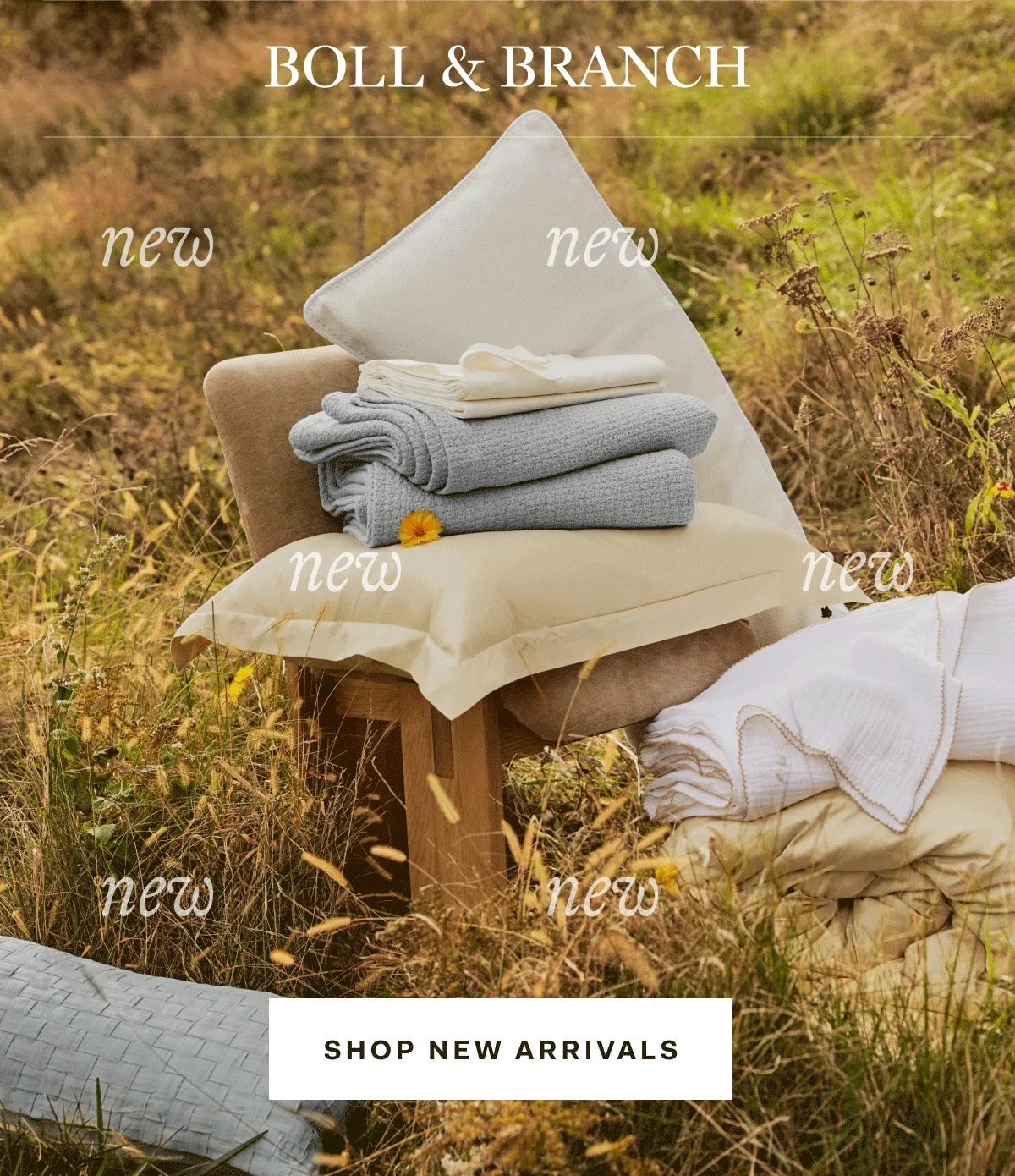 NEW NEW NEW SHOP NEW ARRIVALS