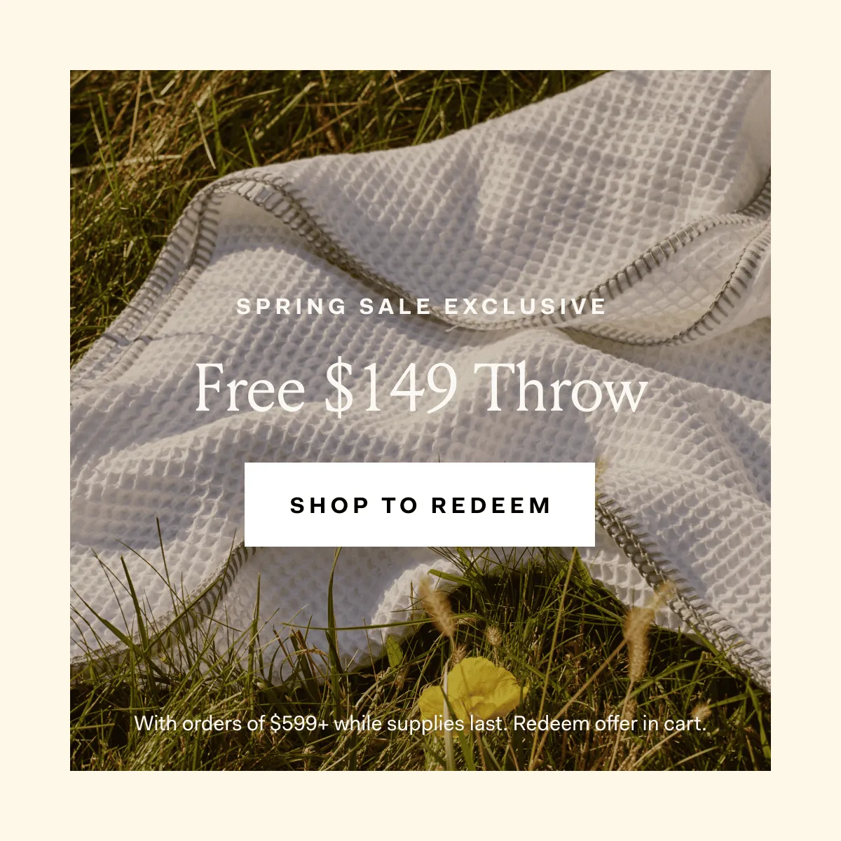 Spring Sale Exclusive Free $149 Throw Shop To Redeem With orders of $599+ while supplies last. Redeem offer in cart.