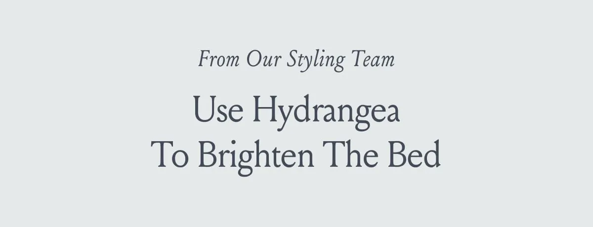 From Our Styling Team Use Hydrangea To Brighten The Bed 