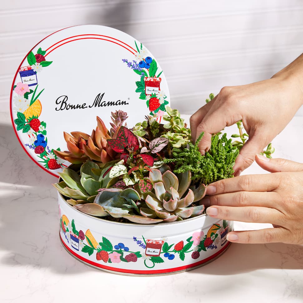 Zen Garden Gift Tin Hack