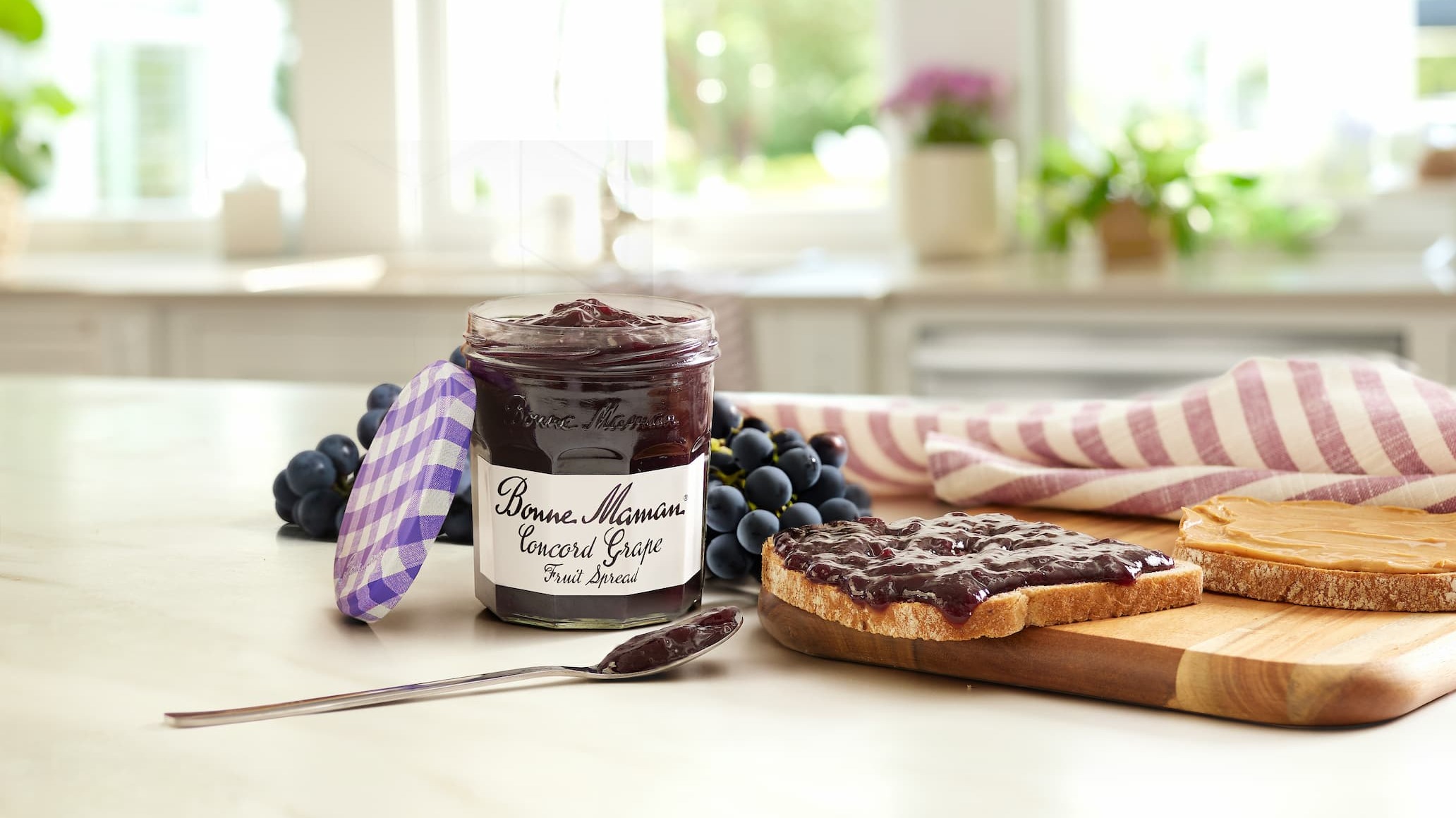 Concord Grape Fruit Spread
