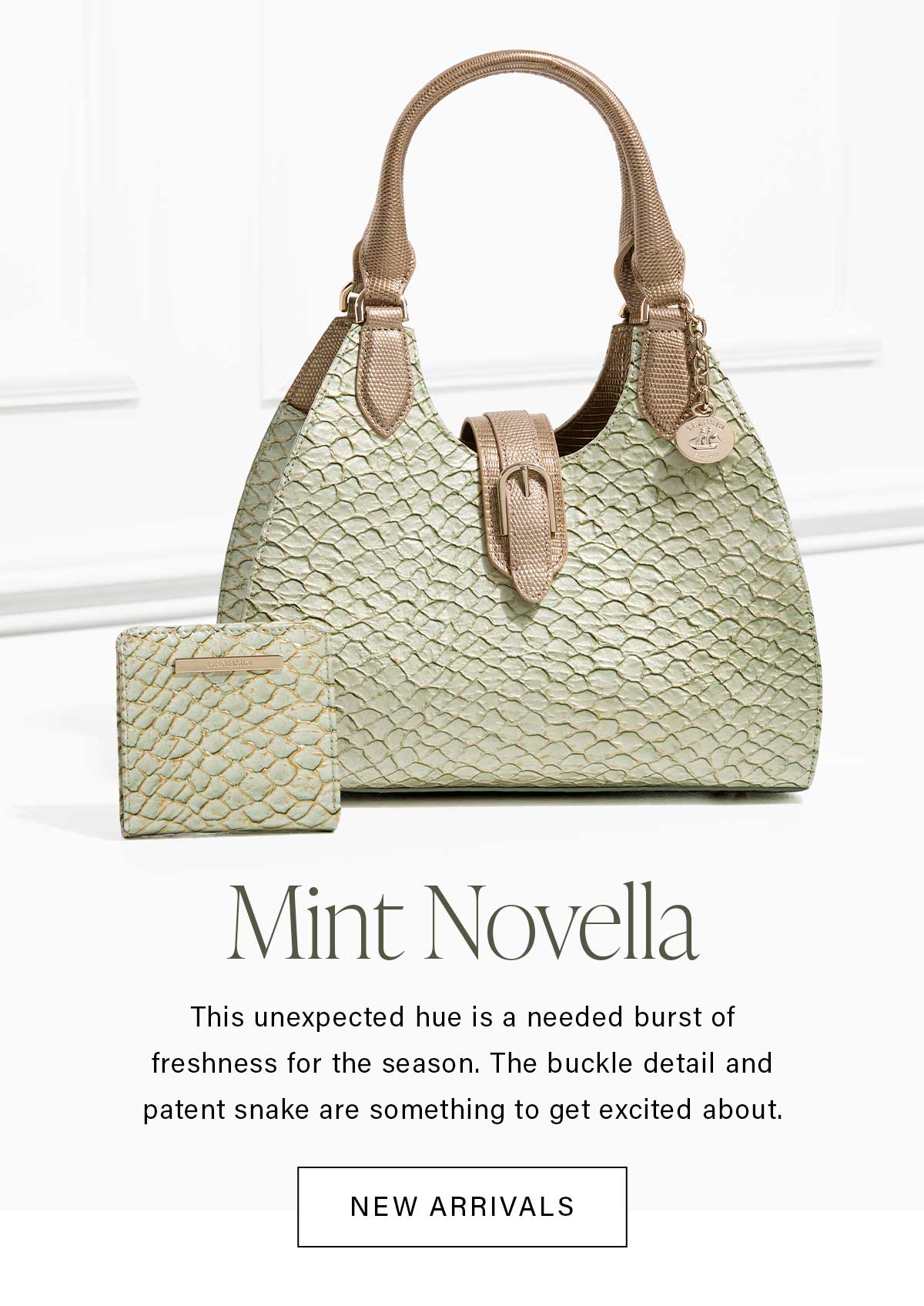 Mint Novella This unexpected hue is a needed burst of freshness for the season. The buckle detail and patent snake are something to get excited about. NEW ARRIVALS