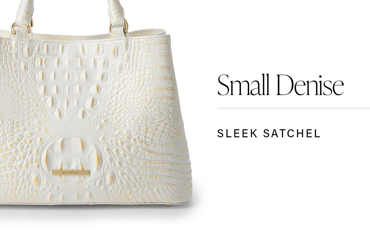 Small Denise SLEEK SATCHEL