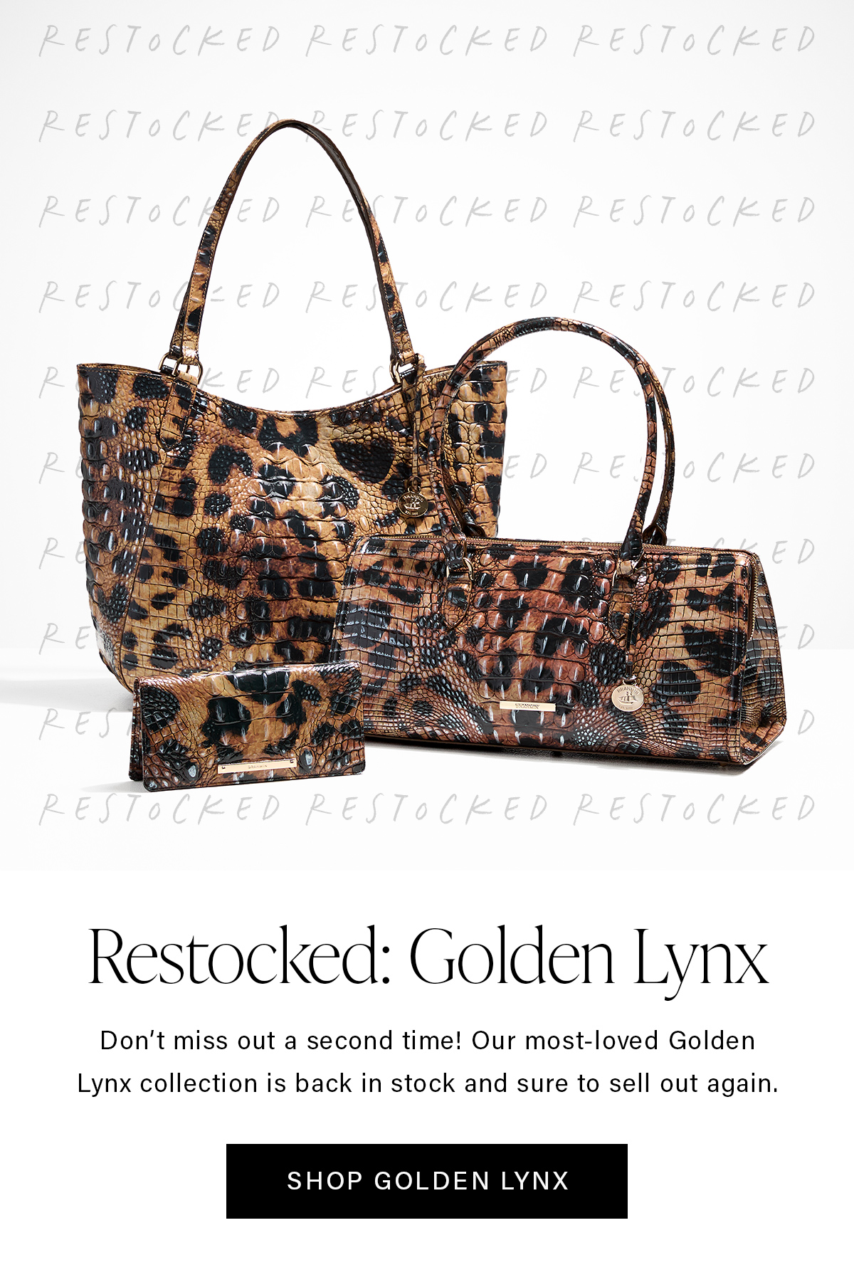 Restocked: Golden Lynx Don't miss out a second time! Our most-loved Golden Lynx collection is back in stock and sure to sell out again. SHOP GOLDEN LYNX