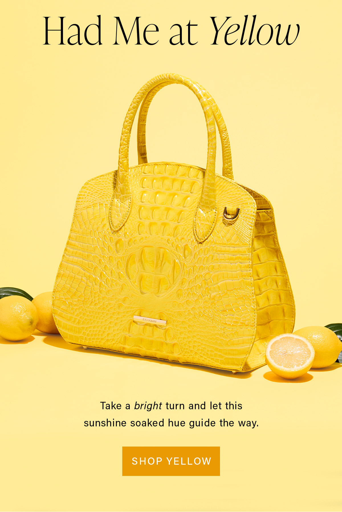 Had Me at Yellow Take a bright turn and let this sunshine soaked hue guide the way. SHOP YELLOW