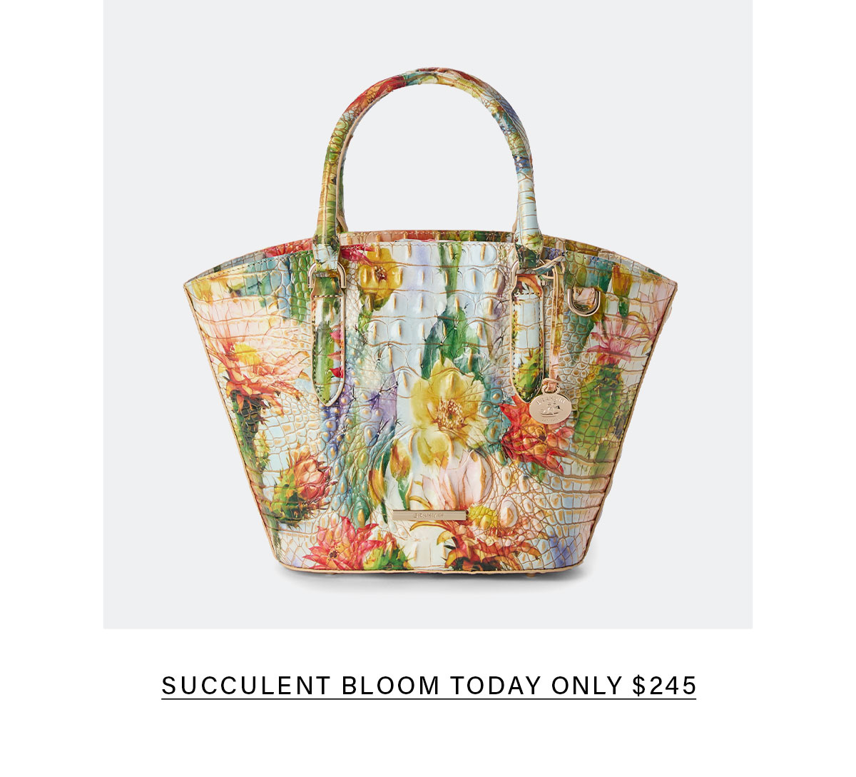 SUCCULENT BLOOM TODAY ONLY $245