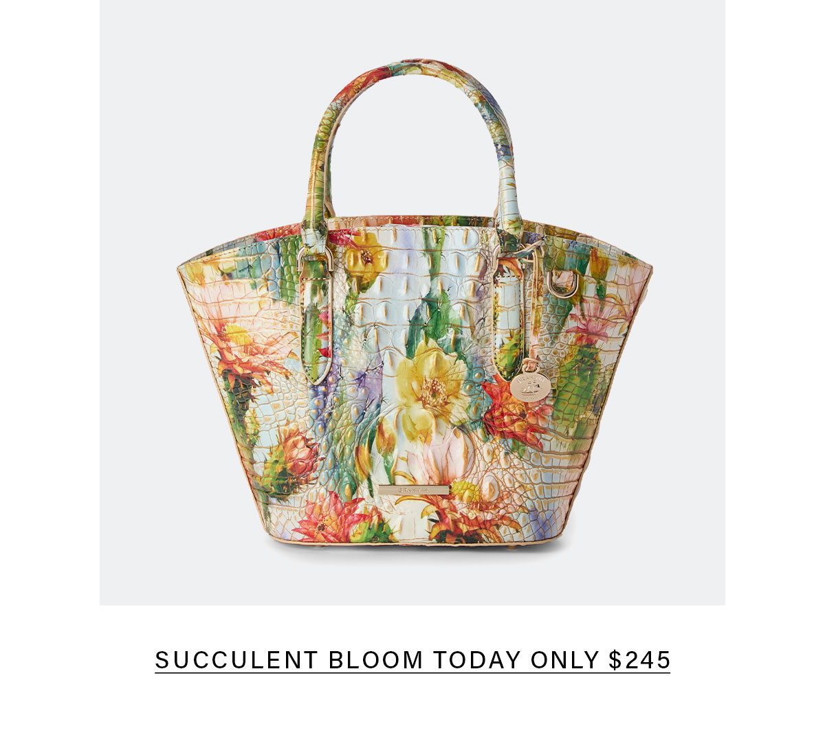 SUCCULENT BLOOM TODAY ONLY $245