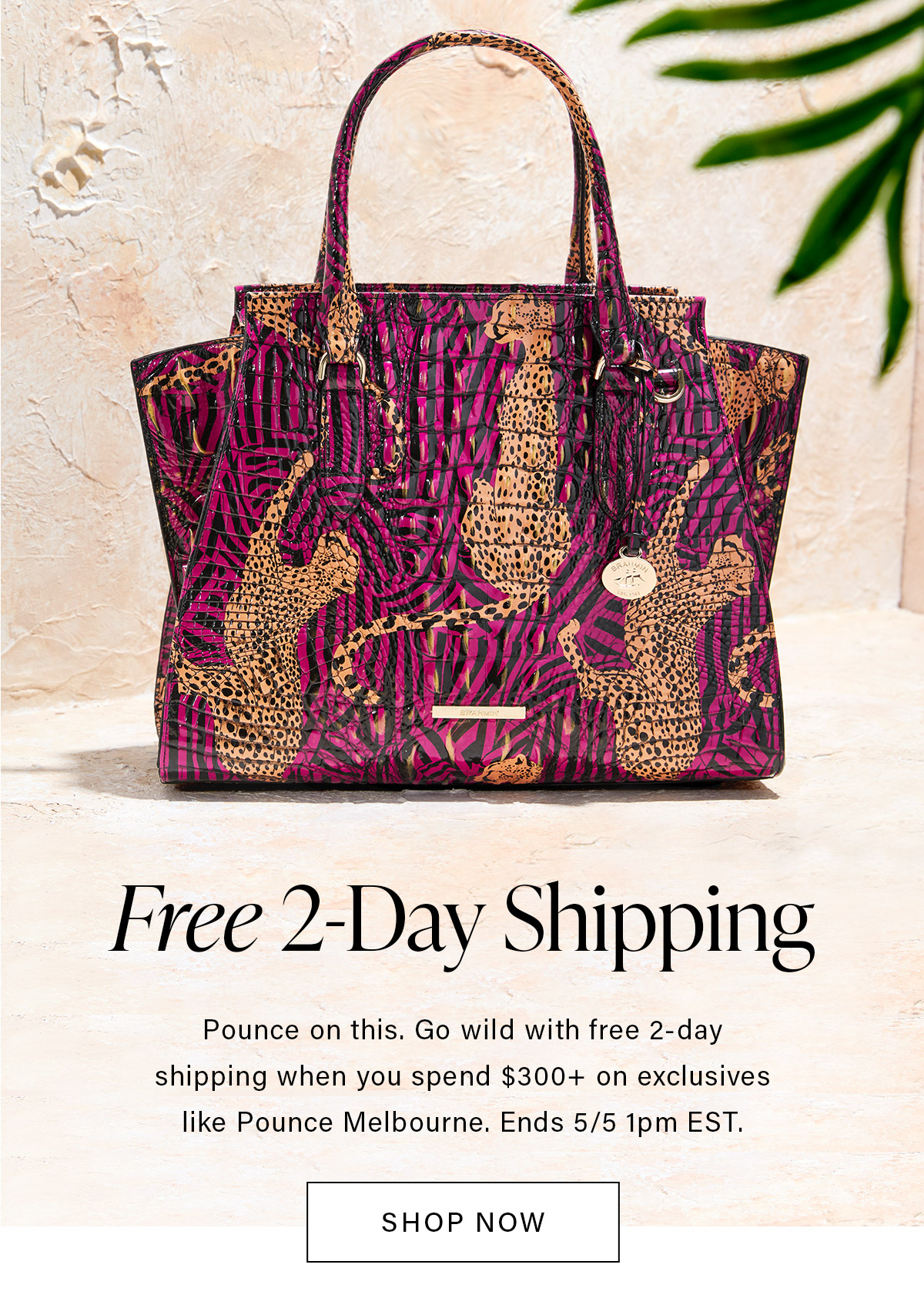 Free 2-Day Shipping Pounce on this. Go wild with free 2-day shipping when you spend $300+ on exclusives like Pounce Melbourne. Ends 5/5 1pm EST.