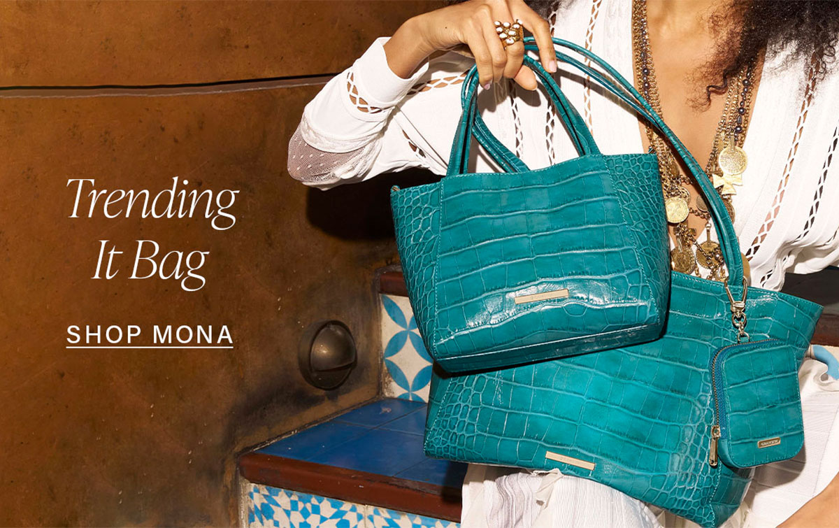 Trending It Bag SHOP MONA