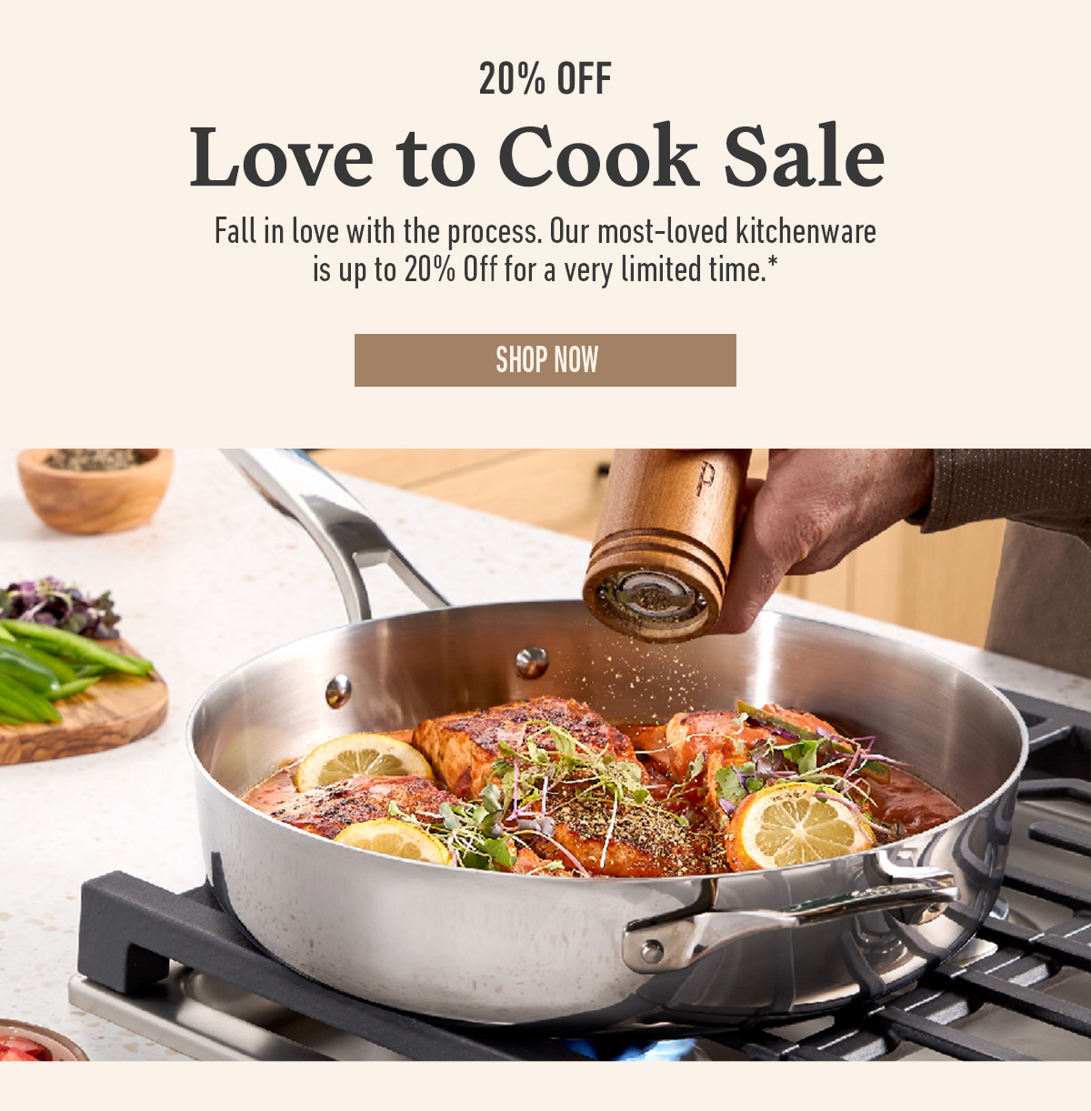 20 percent off love to cook sale. Text about kitchenware discount. Image of salmon cooking in a pan. Shop now button.