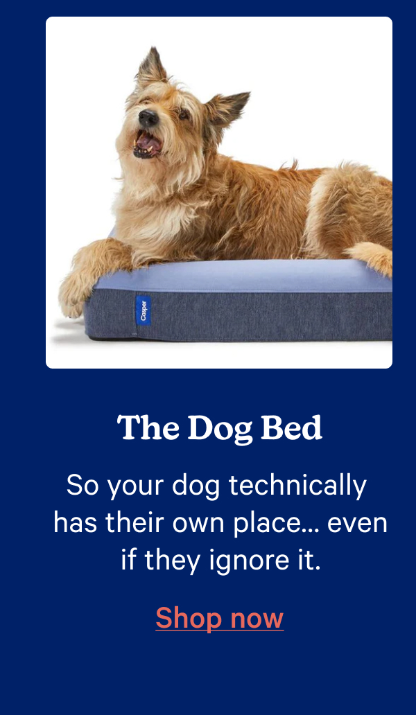 The Dog Bed