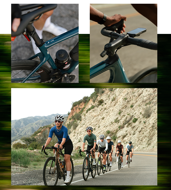 cal collage v2