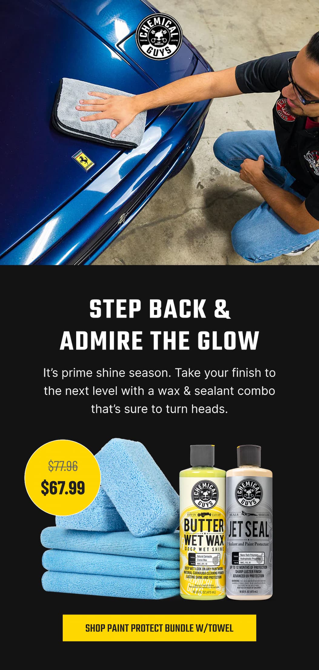 Shop Paint Protect Shine Wax & Sealant Bundle